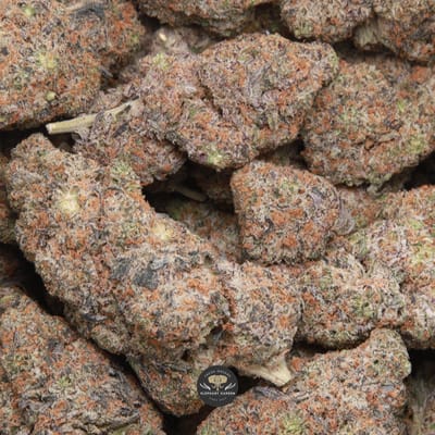Pineapple Breeze hybrid flower - gallery image 1, cured buds
