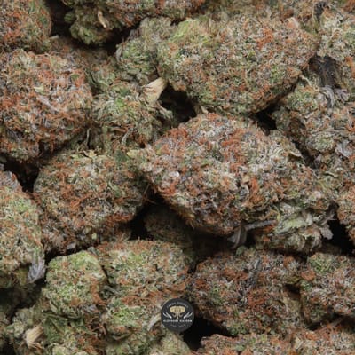 Pink Gas AAA+ indica flower, macro shot of trichome coverage on the buds