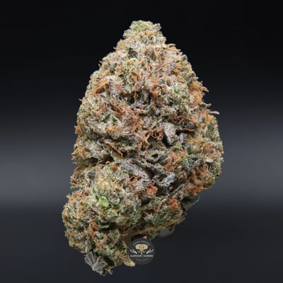Pink Gas