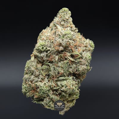 Pink Kush AAA+ indica flower - close-up of dense buds with pink pistils and heavy trichome coverage