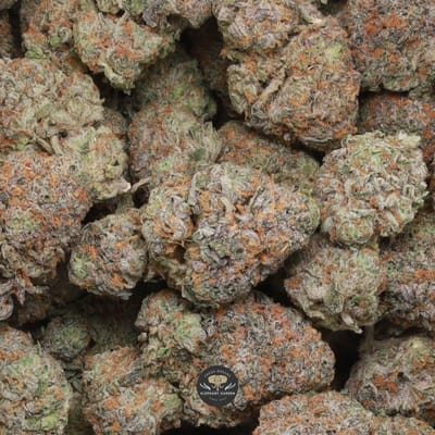 Truffle Cake AAA+ hybrid cannabis flower, macro shot of trichome-covered buds