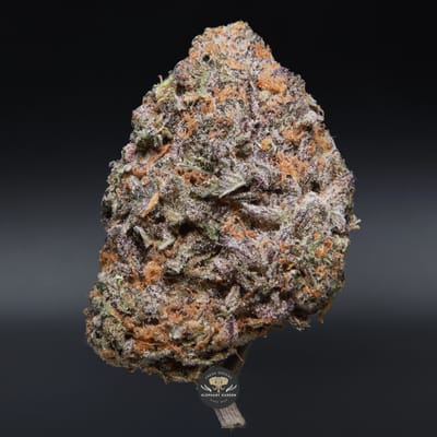 Truffle Cake AAA+ hybrid cannabis flower, close-up product photo of dense frosted buds