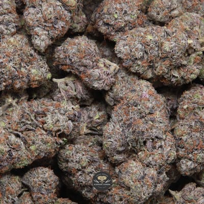 Death Ultra indica flower, gallery image 1 of the buds