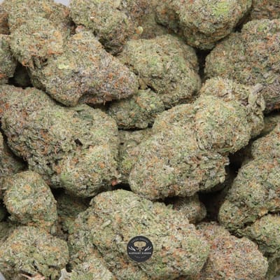 Honey Bananas hybrid flower, close-up of the buds
