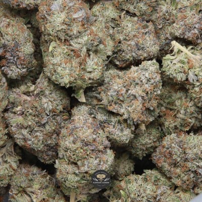 Island Pink Kush indica flower, close-up of the buds