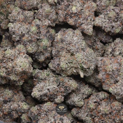 LSO Pink Gasoline buds
