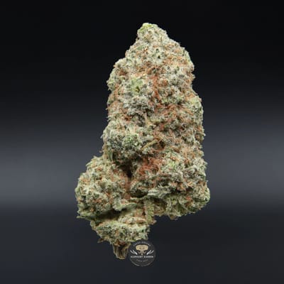 Mango Dream sativa flower: close-up product photo of the bud