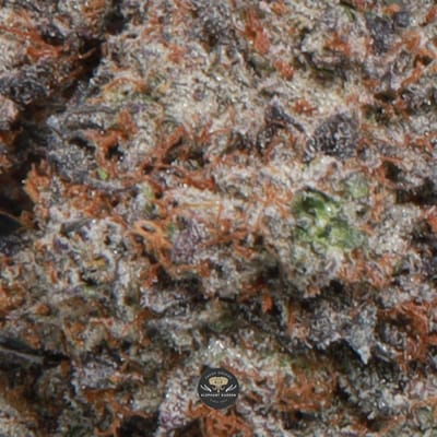 Pink Rozay indica flower, gallery image 1