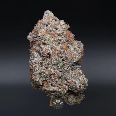 Pink Rozay indica flower, close-up product photo
