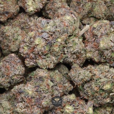 Platinum Pink indica flower, close-up of frosted buds