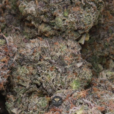 Tom Ford indica flower buds, gallery image 1