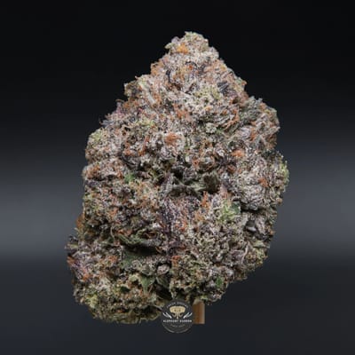 Tom Ford indica flower, close-up product photo