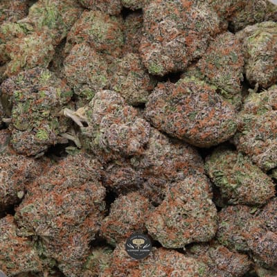 Triangle Kush indica flower: gallery image of frosted buds