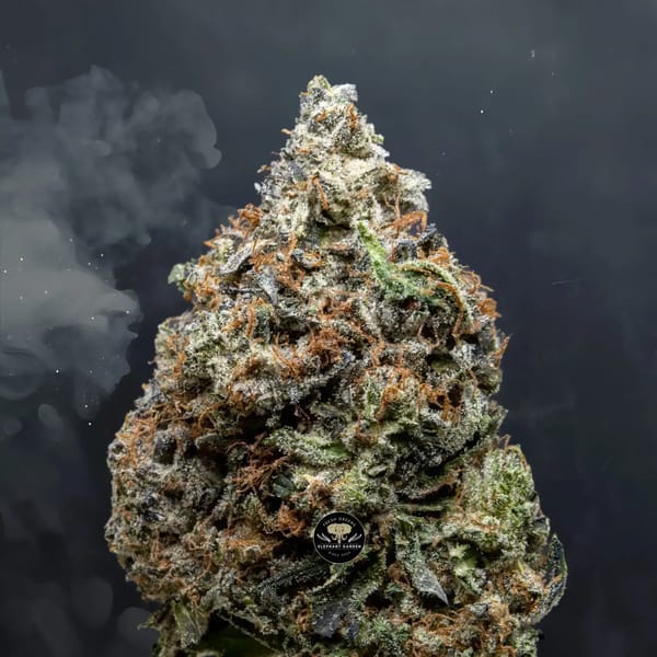 Buy Bluefin tuna at Elephant Garden Co Weed Dispensary Close 8 7 24 2