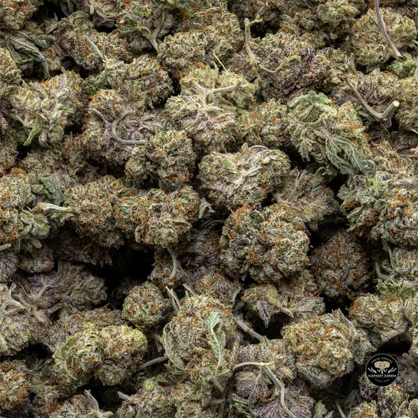 Buy Diablo at Elephant Garden Co Weed Dispensary Bulk 5 15 25 2