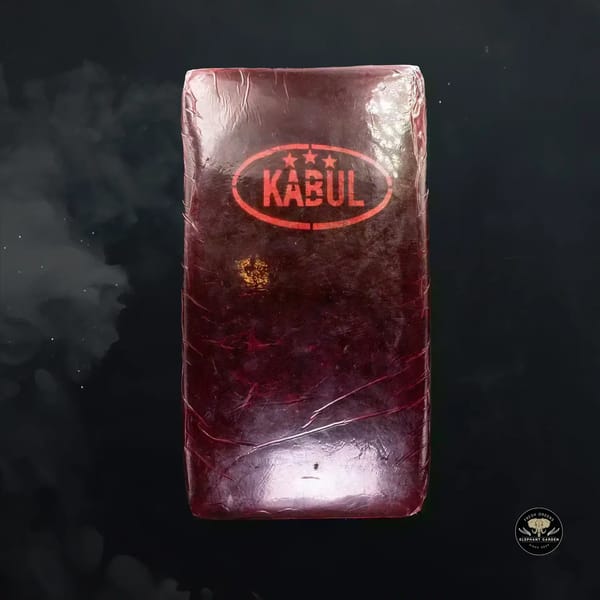 Buy Kabul Hash at Elephant Garden Co Weed Dispensary Burn 11 13 24