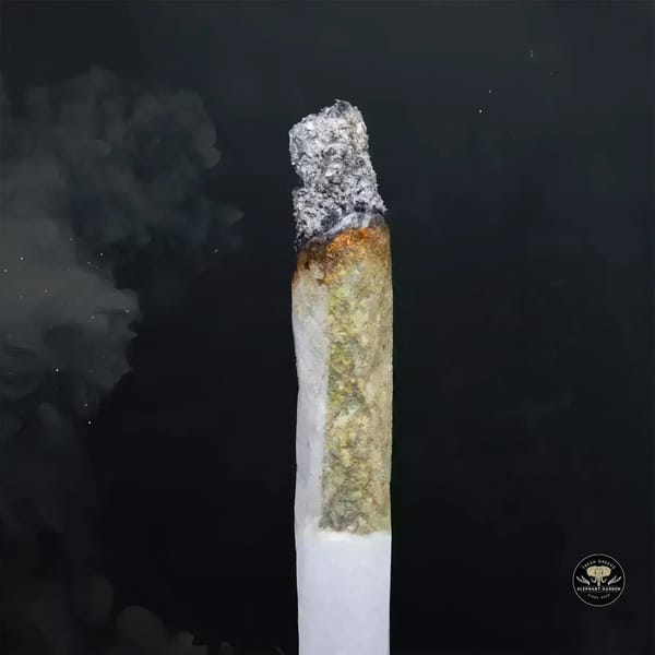 Buy Mac at Elephant Garden Co Weed Dispensary Burn 1 23 25