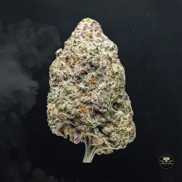 Buy Mac at Elephant Garden Co Weed Dispensary Float 1 23 24