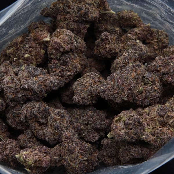 Elephant Garden Grape Gummiez Hybrid