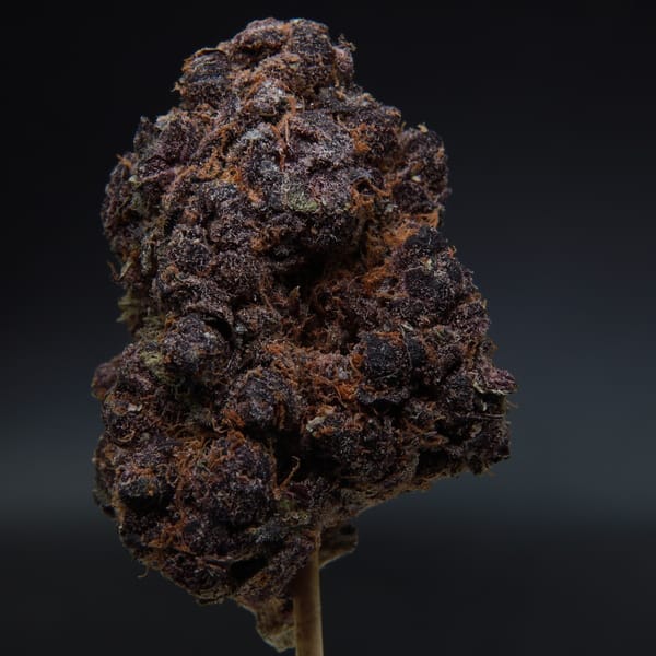 Elephant Garden Grape Gummiez Nugget Hybrid