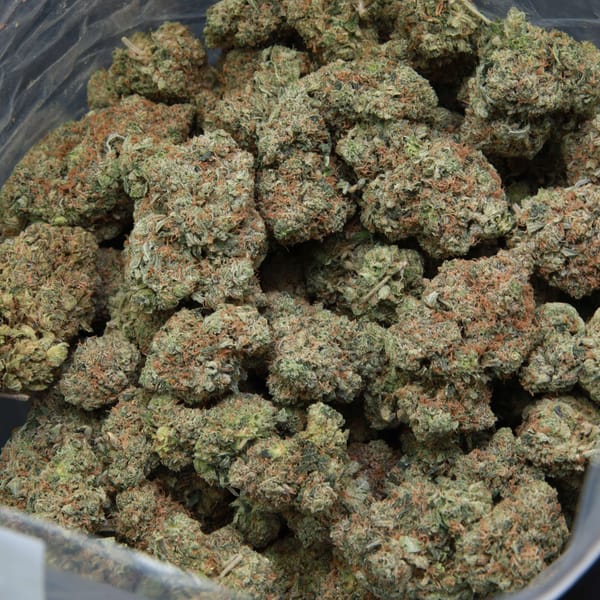 elephant garden Pink Deathstar bag