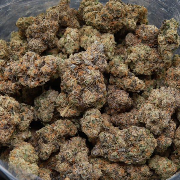 Tokyo Sunset - Hybrid - AAAA from Elephant Garden Bag Image