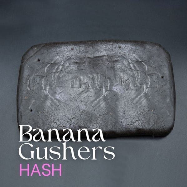 Banana Gushers Hash elephant garden
