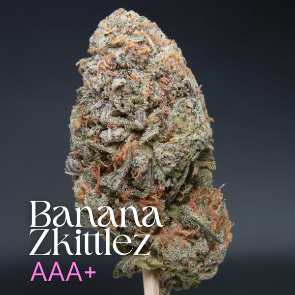 Banana Zkittlez from Elephant Garden single bud