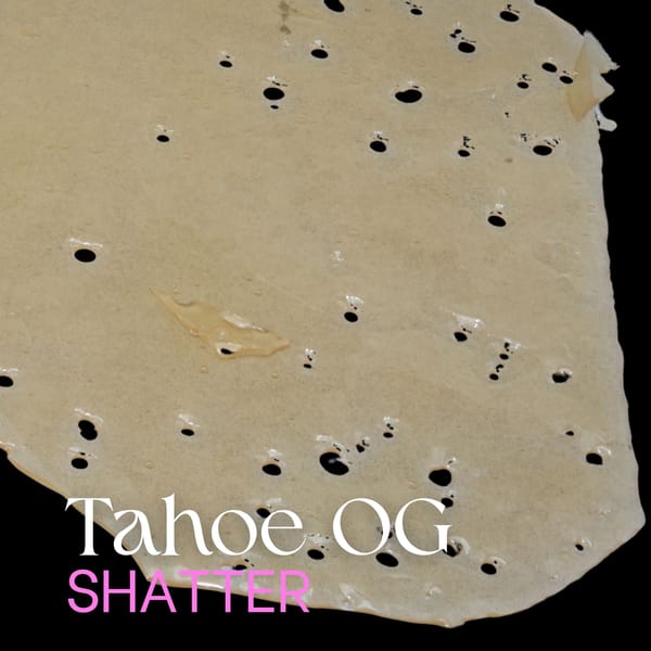 Tahoe OG shatter from elephant garden
