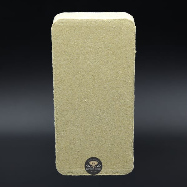 Indica Mix Solventless Blonde Hash Vertical Elephant Garden Feb 2026