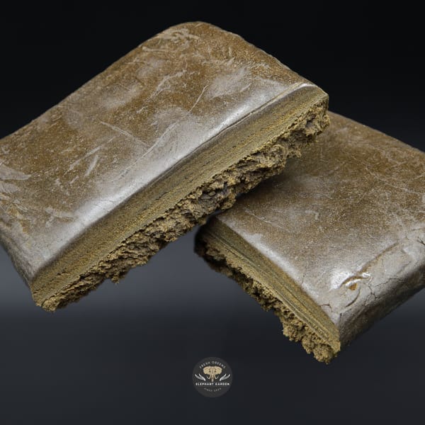 Blue Cheese Hash Rip V2 Elephant Garden March 2026