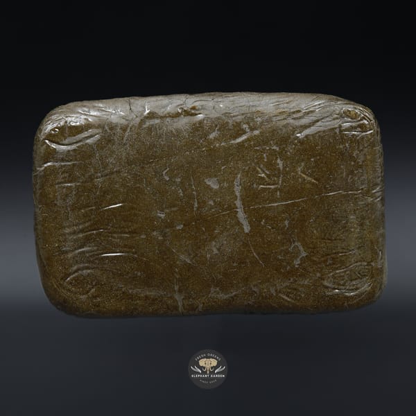 Blue Cheese Hash Brick Elephant Garden March 2026