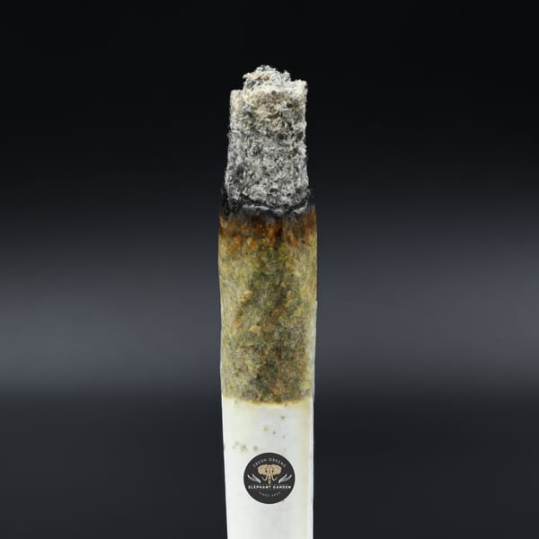 Blueberry Jam Popcorn burn test Elephant Garden March 2026