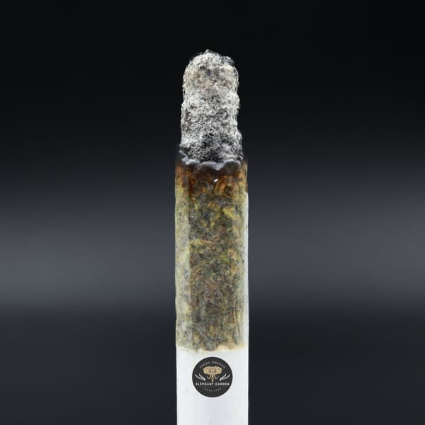 Burn shot Grease Monkey Elephant Garden March 2026