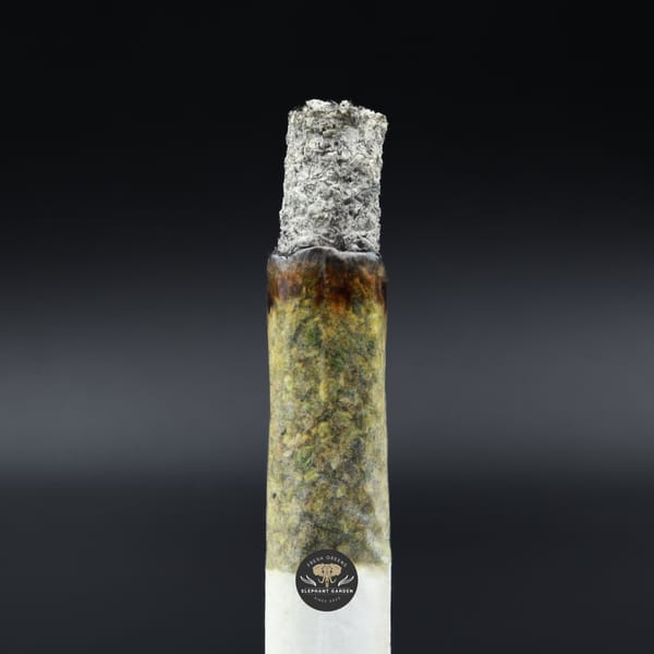 Burn Test Of Gastro Pop Popcorn Elephant Garden March 2026