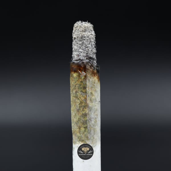 Burn image Snowman Elephant Garden March 2026