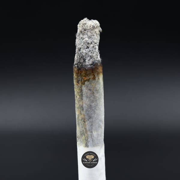 Burn image of Death Reaper Elephant Garden March 2026