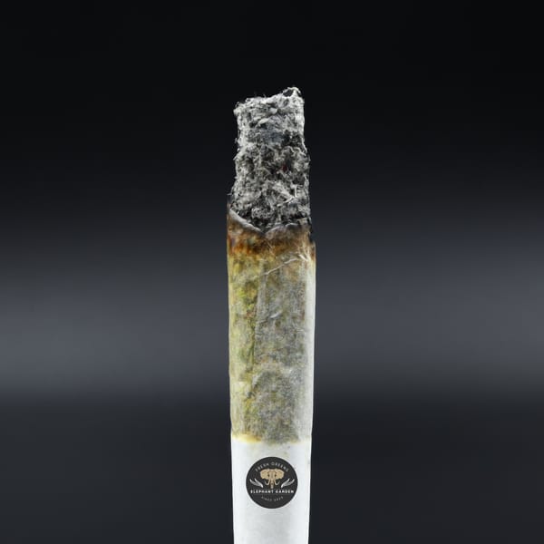 Burn test Razzle Dazzle Popcorn Elephant Garden March 2026