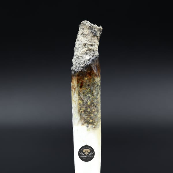 Burn test of Greasy Death Bubba Smalls Elephant Garden March 2026