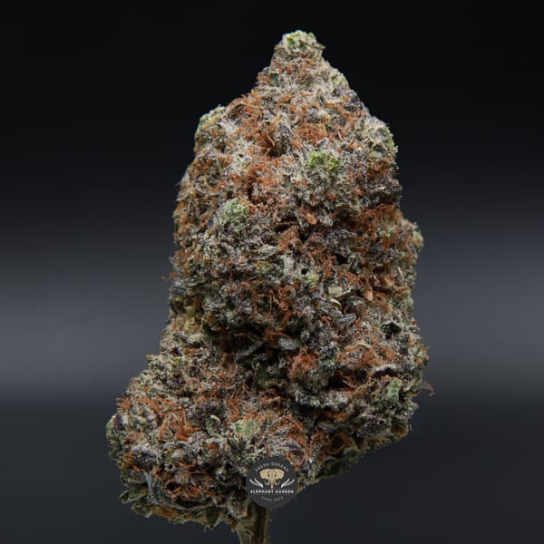 Buy Ahi Tuna Elephant Garden March 2026