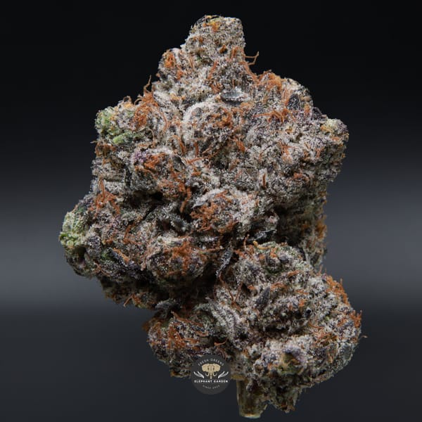 Cali Octane bud Elephant Garden March 2026