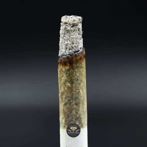 Cali Octane burn Elephant Garden March 2026