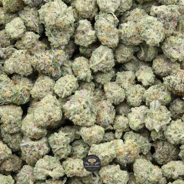 Candy Mac Smalls from Elephant Garden March 2026