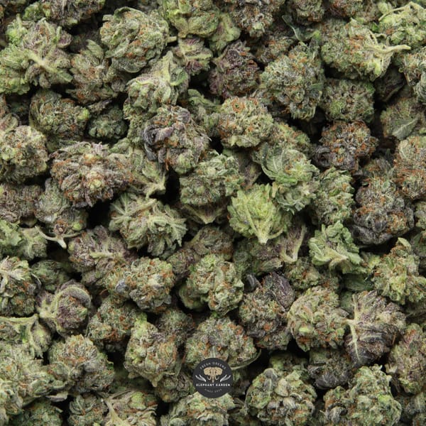 Death Star Popcorn Gas Elephant Garden March 2026