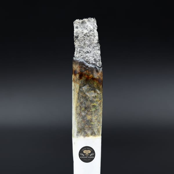 Death Ultra Smalls burn test Elephant Garden March 2026