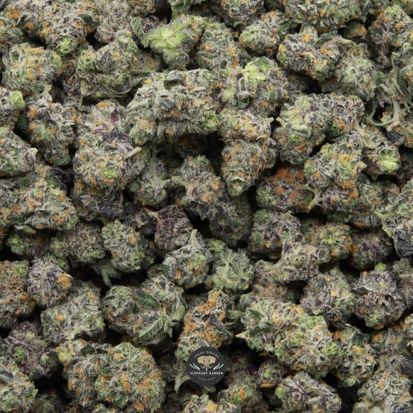 Hidden Pastry Smalls from Elephant Garden March 2026