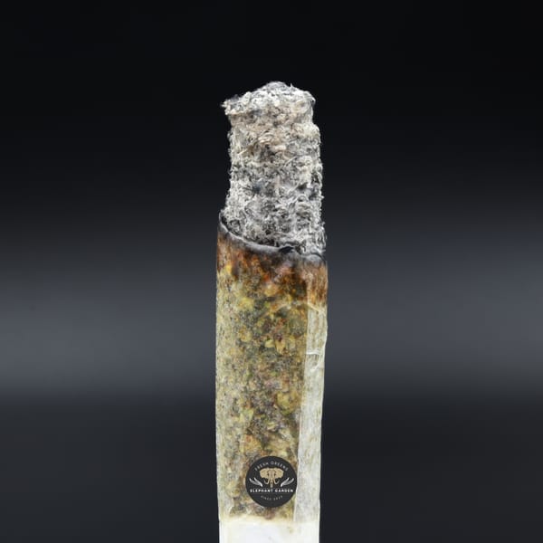 Pink Death Star burn test Elephant garden March 2026