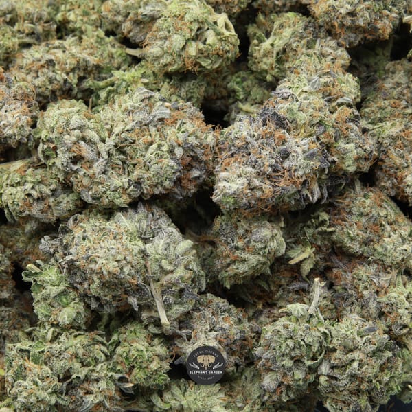 Pink Rockstar bag of buds from Elephnat Garden 2026