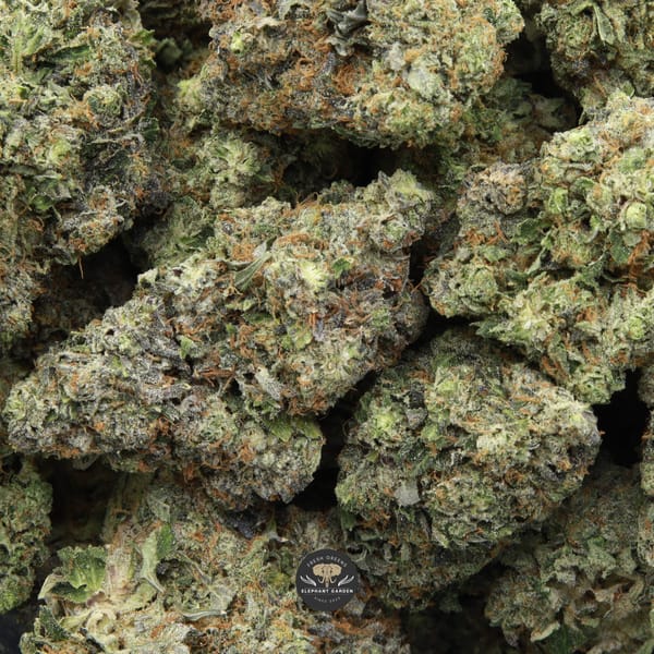 Platinum Kush multiple buds from Elephant Garden march 2026