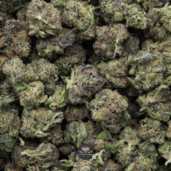 Tom Ford Smalls from Elephant Garden March 2026